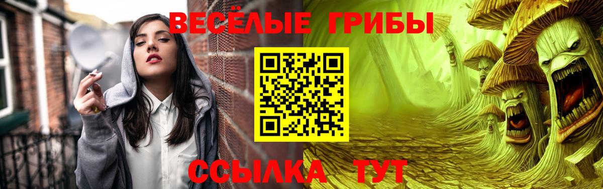 Псилоцибиновые грибы GOLDEN TEACHER Новоуральск